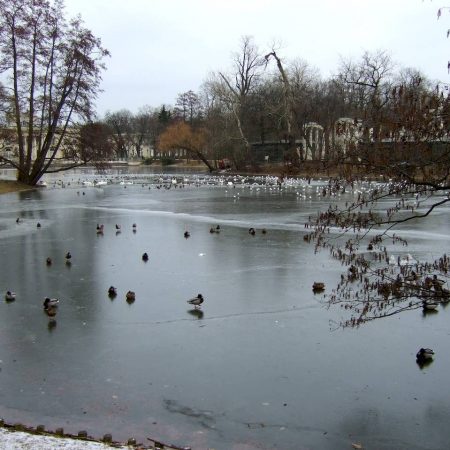 winter atmosphere, frozen lake