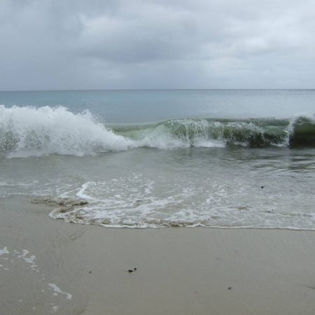 Waves in rolls sandy beach