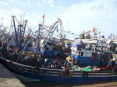 unloading fish trawlers